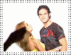 dvd12dz6.gif
