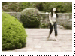 2897ea2fcd_69901477_o2.gif